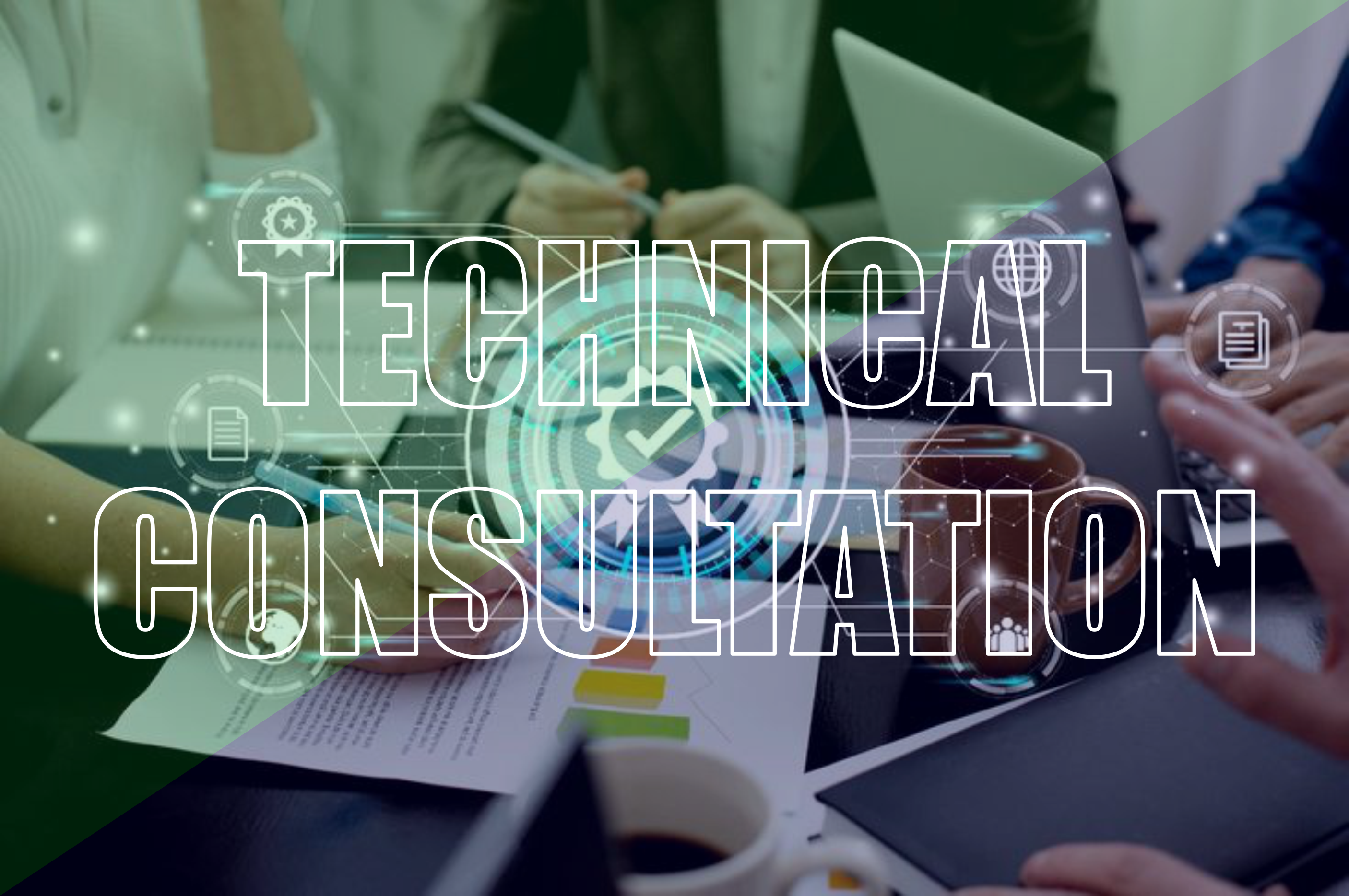 TECHNICAL CONSULTATION
